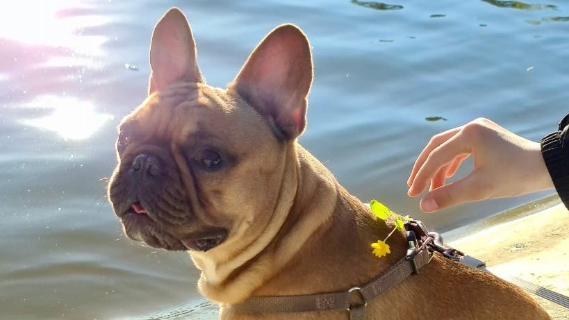 Отдохну потом...