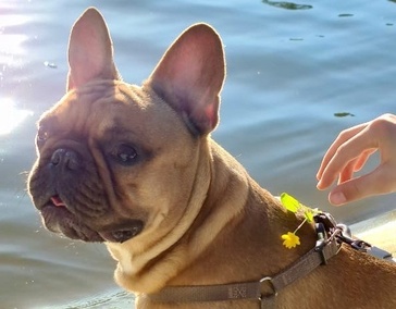 Отдохну потом...