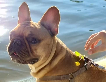 Отдохну потом...