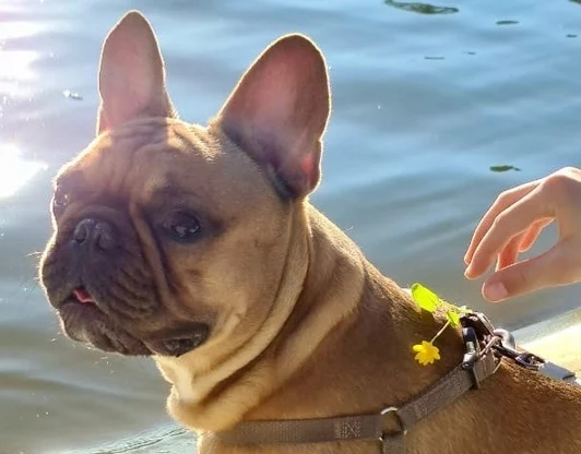 Отдохну потом...